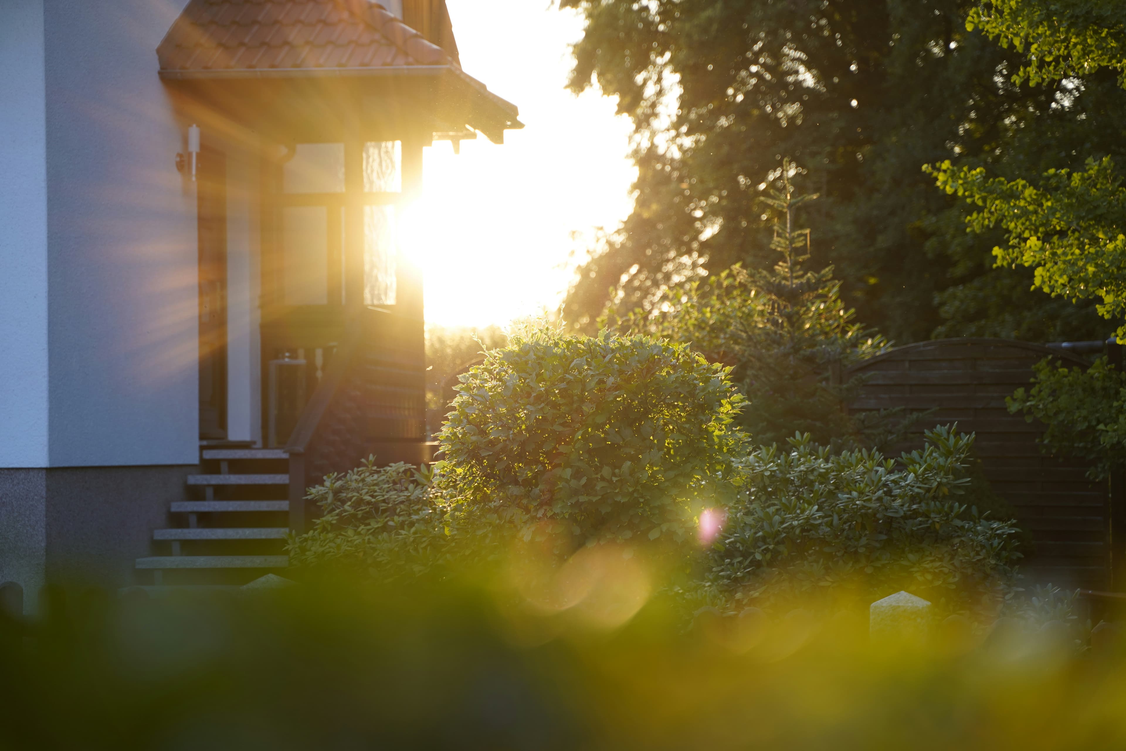 sun rise in front of a house with trees